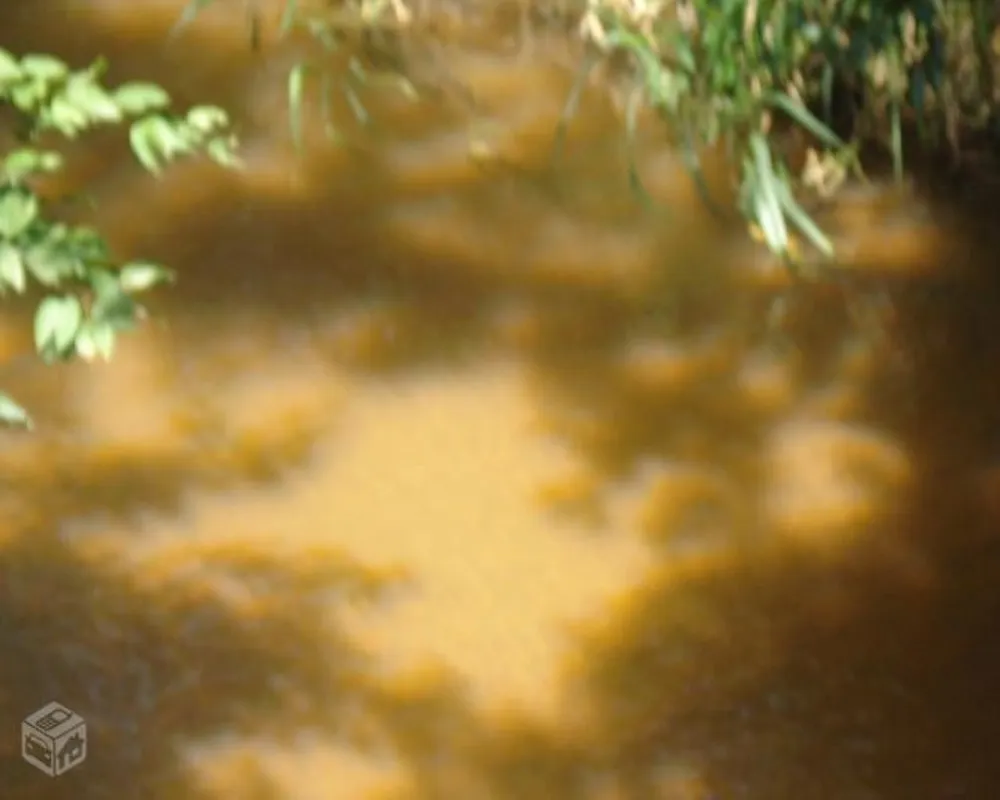Fazenda - Foto 5
