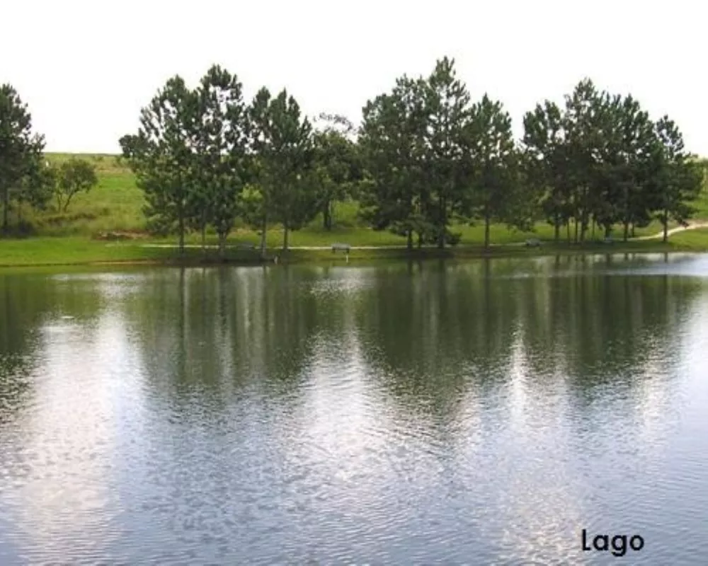 Terreno, 1000 m² - Foto 7