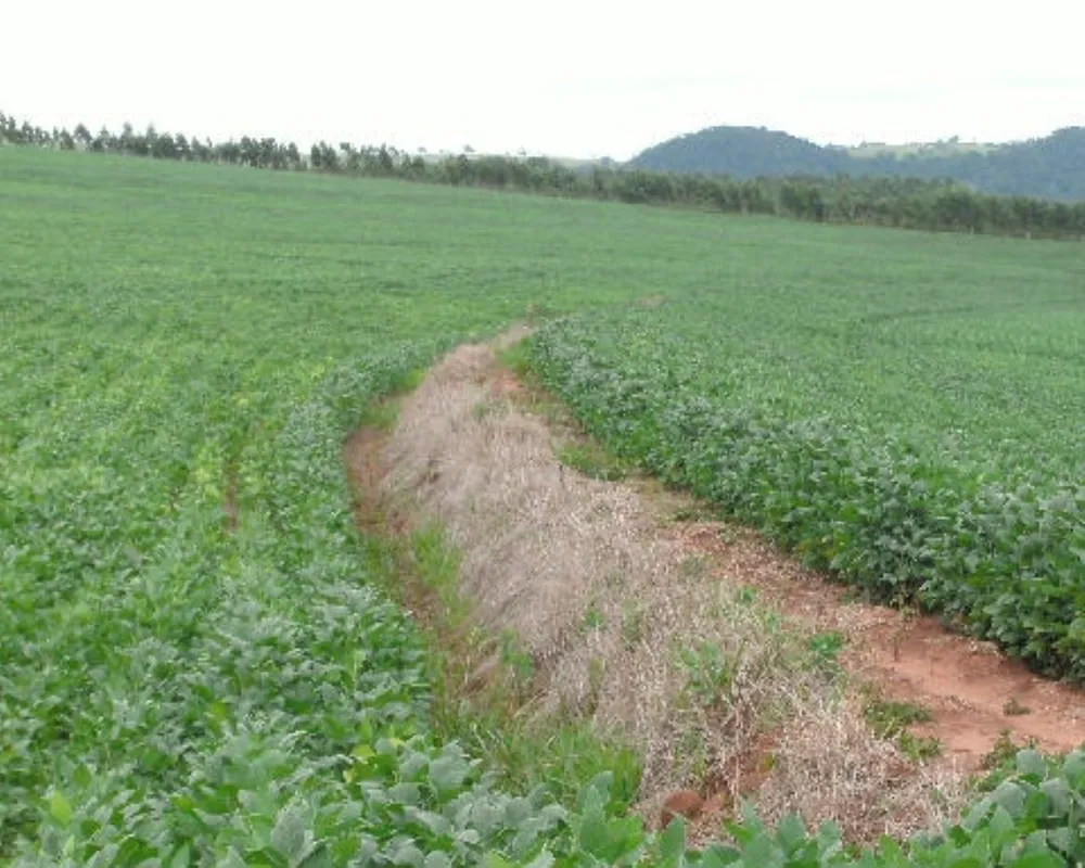 Fazenda - Foto 2