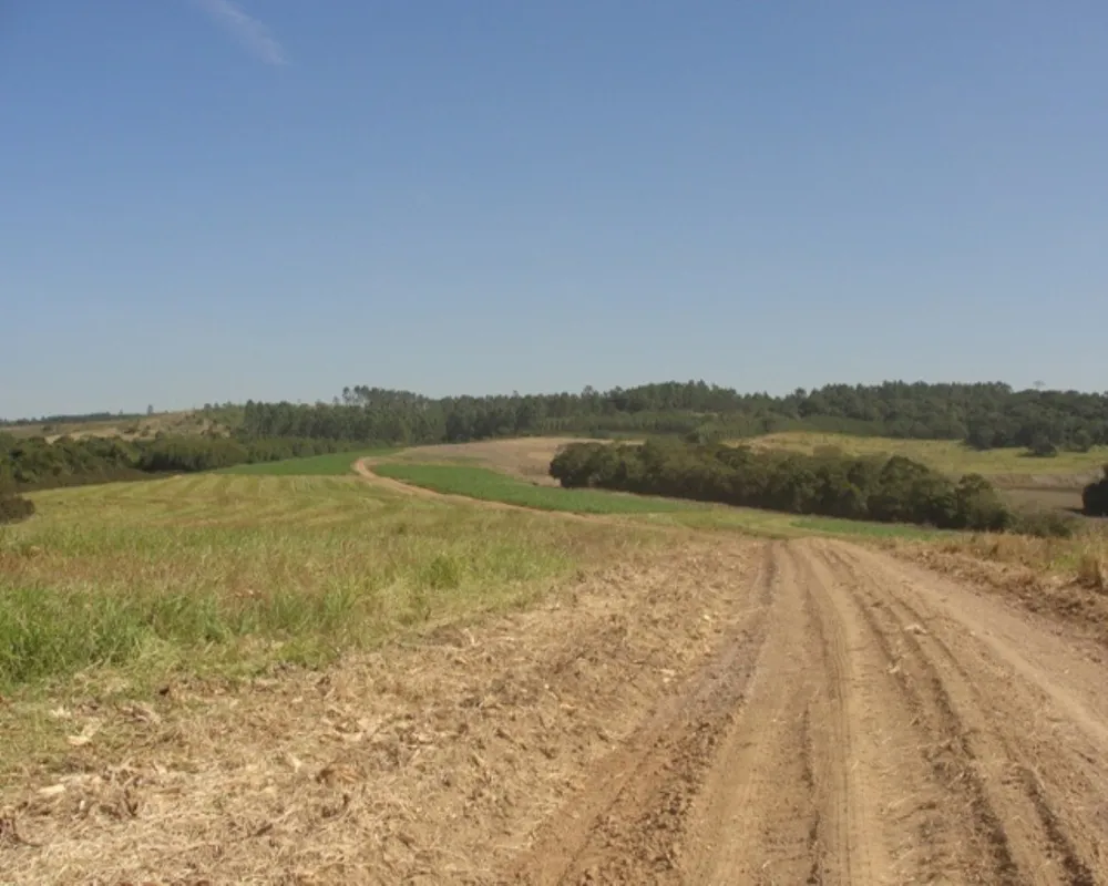 Fazenda - Foto 1