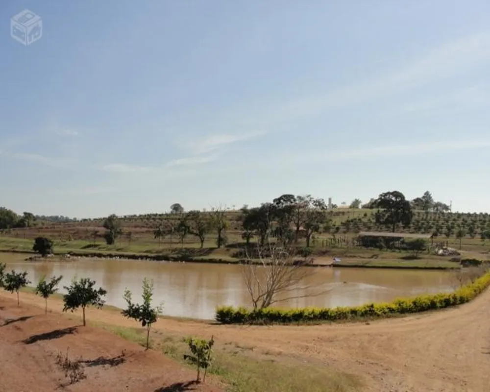 Fazenda - Foto 4