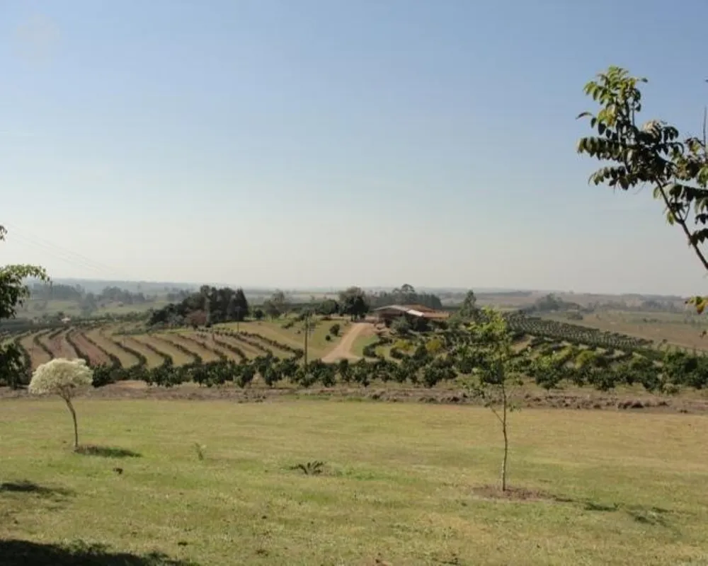Fazenda - Foto 3