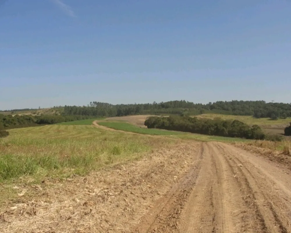 Fazenda - Foto 8
