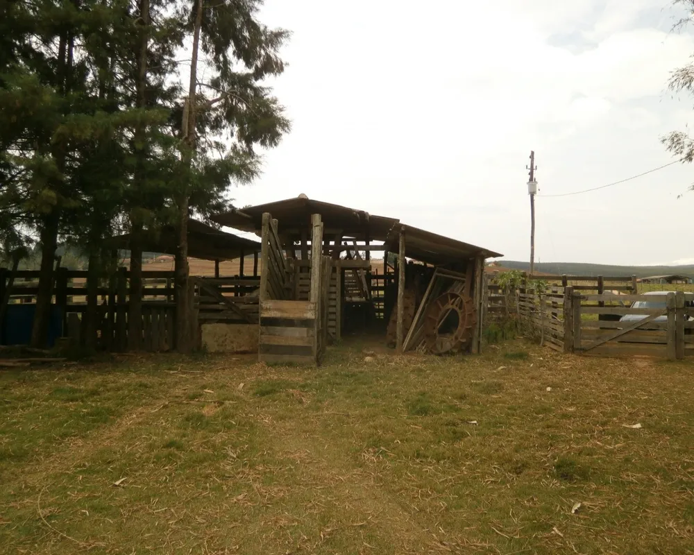 Sítio - Foto 3