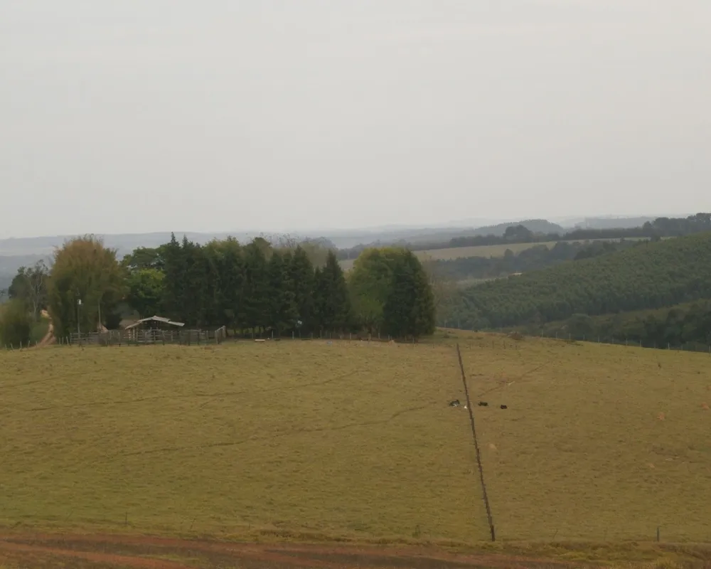 Sítio - Foto 7