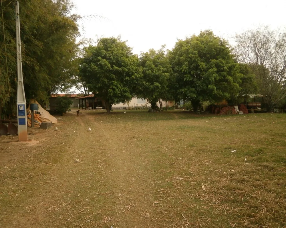 Sítio - Foto 2