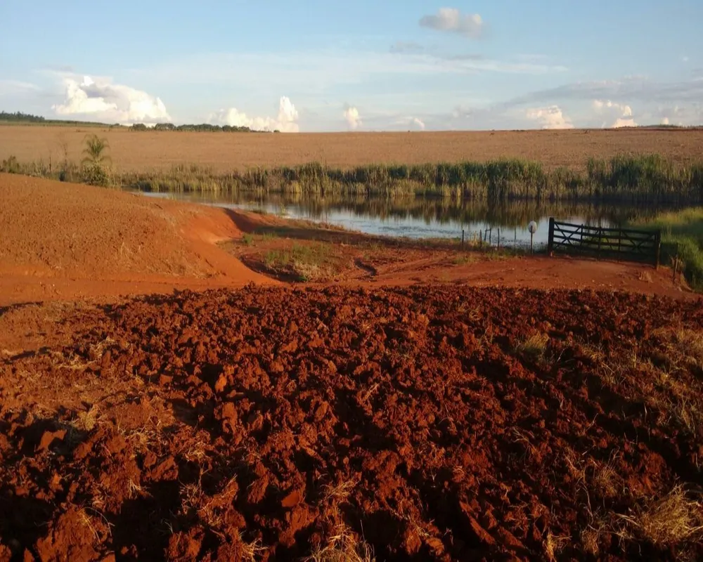Fazenda - Foto 3