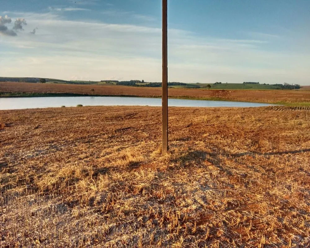 Fazenda - Foto 7