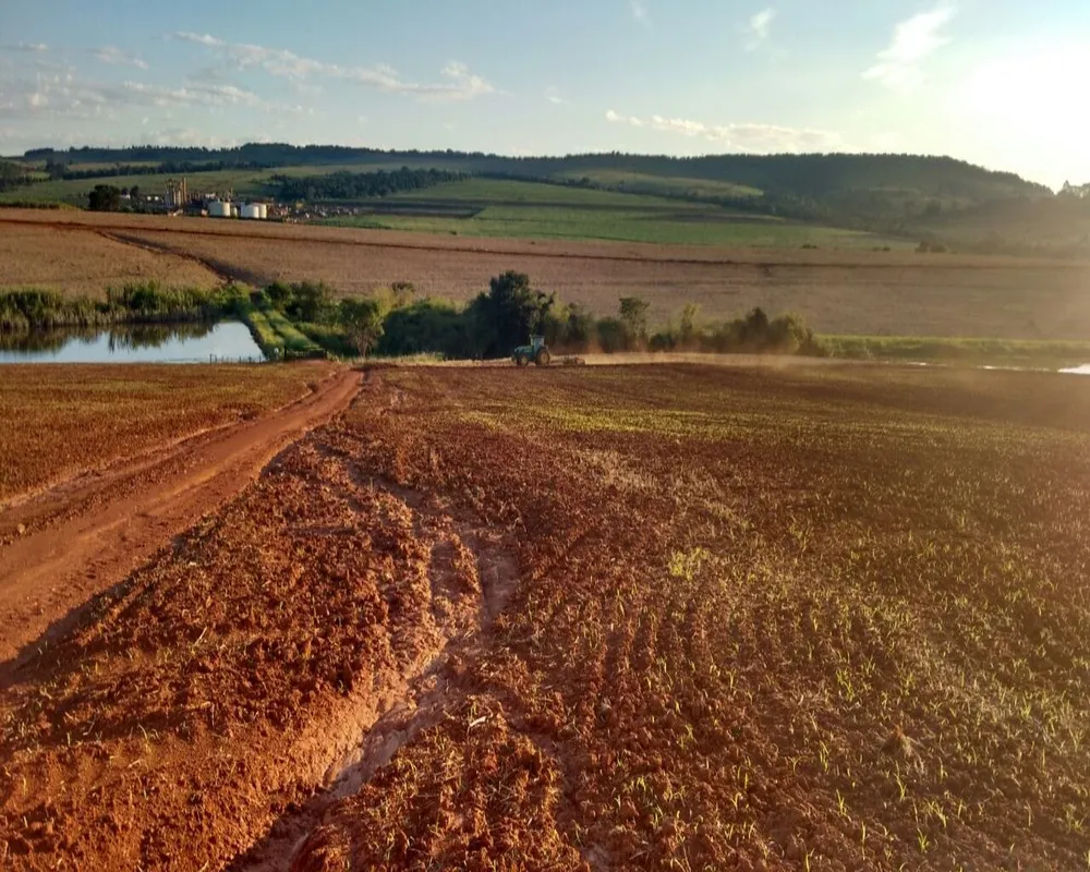 Fazenda - Foto 1