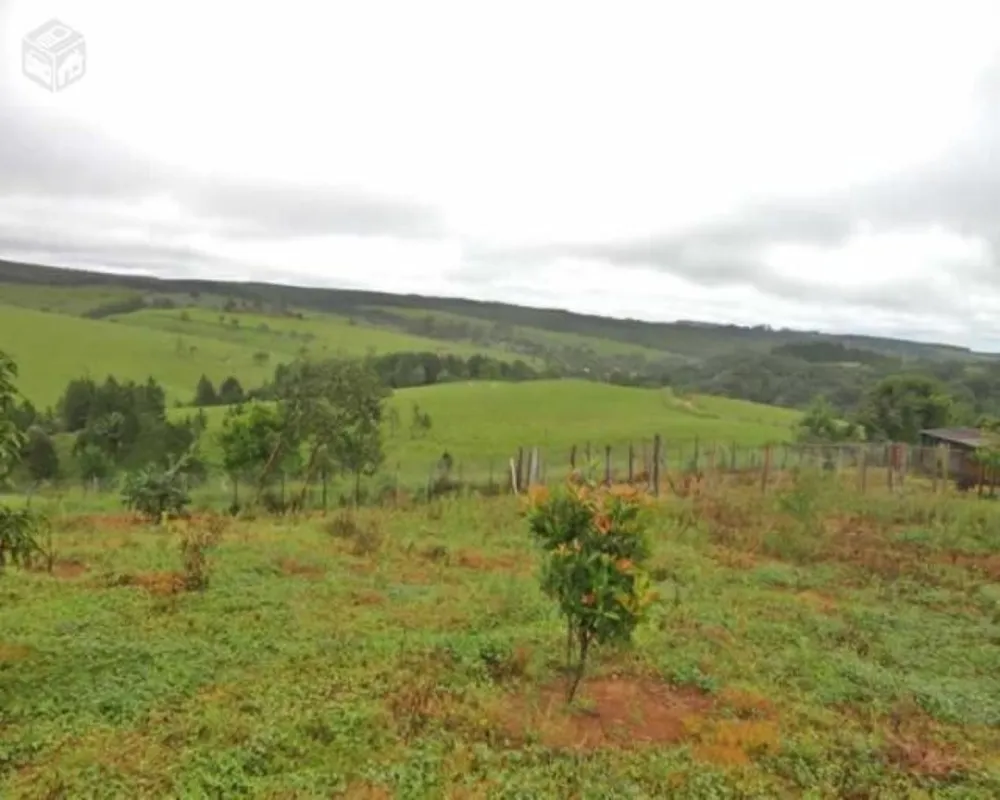 Fazenda - Foto 8