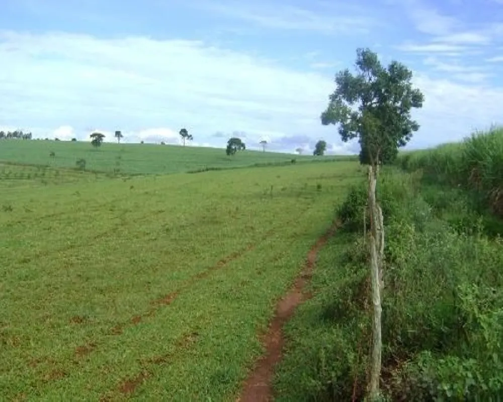 Fazenda - Foto 4