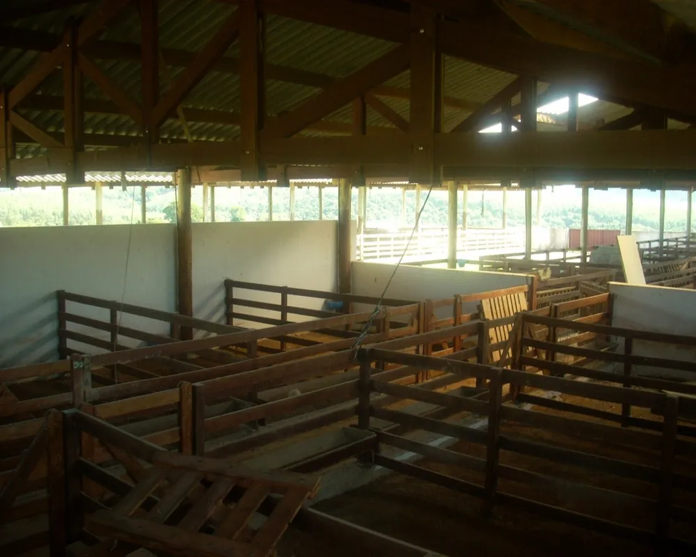 Sítio - Foto 29