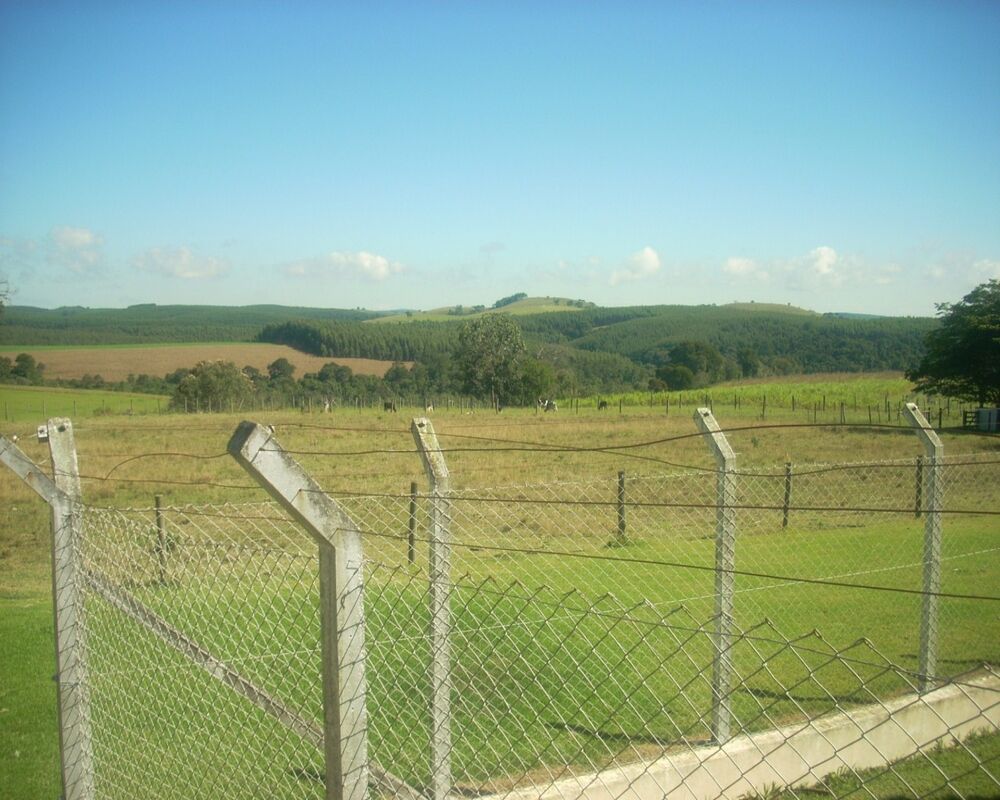Sítio à venda - Foto 8