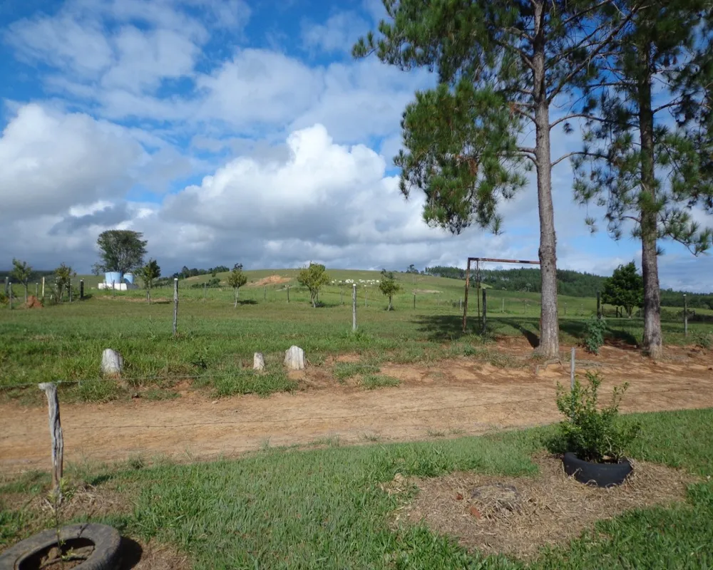 Fazenda - Foto 2