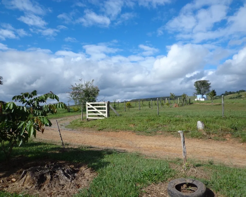 Fazenda - Foto 3