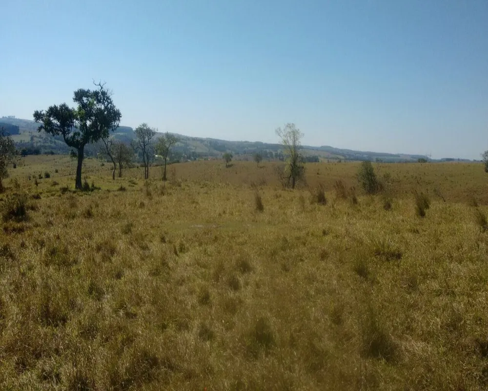 Fazenda - Foto 5