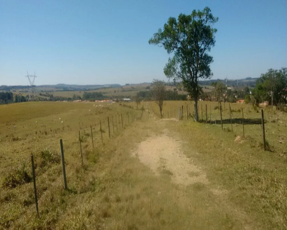 Fazenda - Foto 4