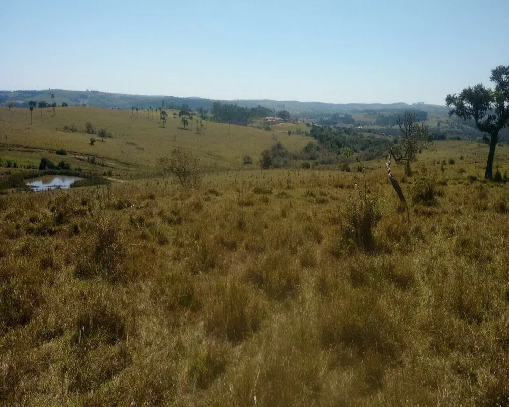 Fazenda - Foto 6