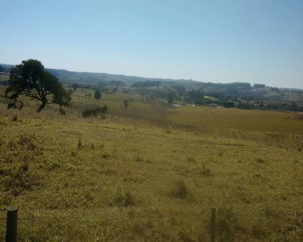 Fazenda - Foto 7