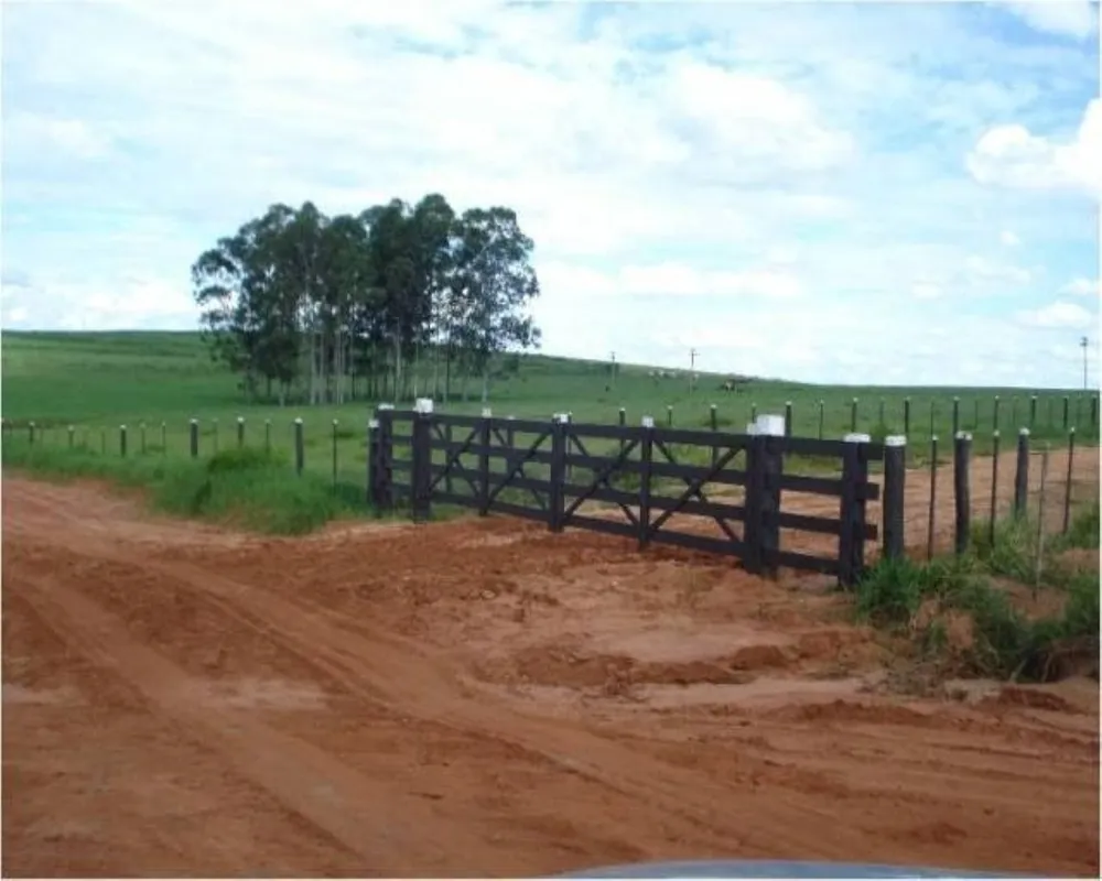 Fazenda - Foto 5
