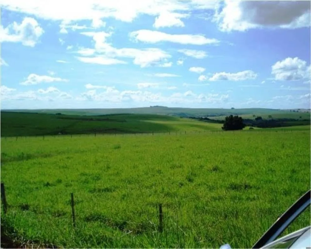 Fazenda - Foto 8