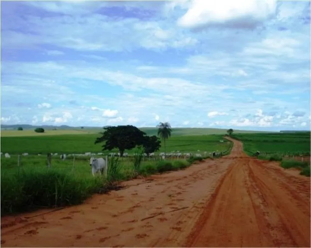 Fazenda - Foto 1