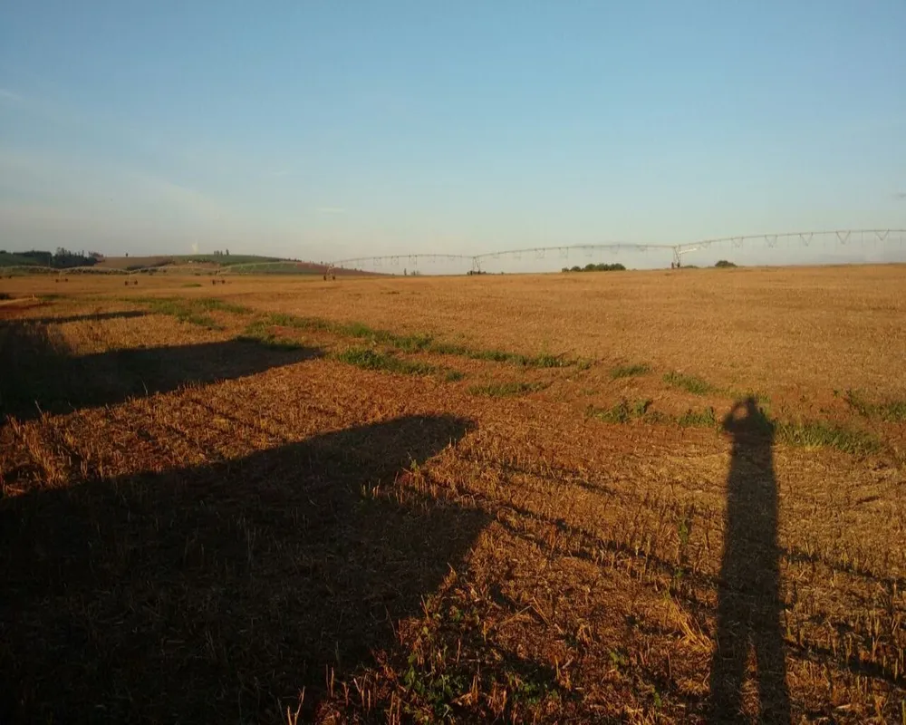 Fazenda - Foto 5