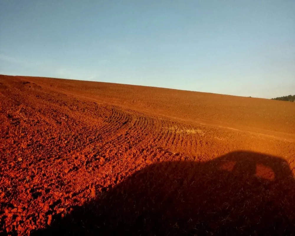 Fazenda - Foto 3