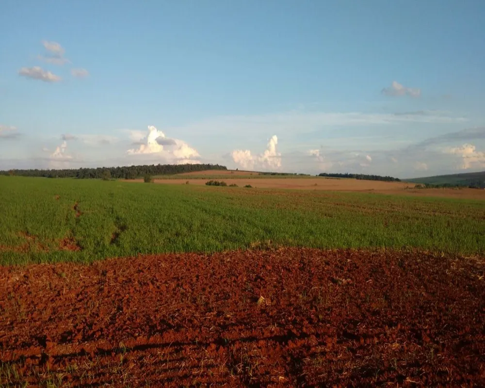 Fazenda - Foto 4