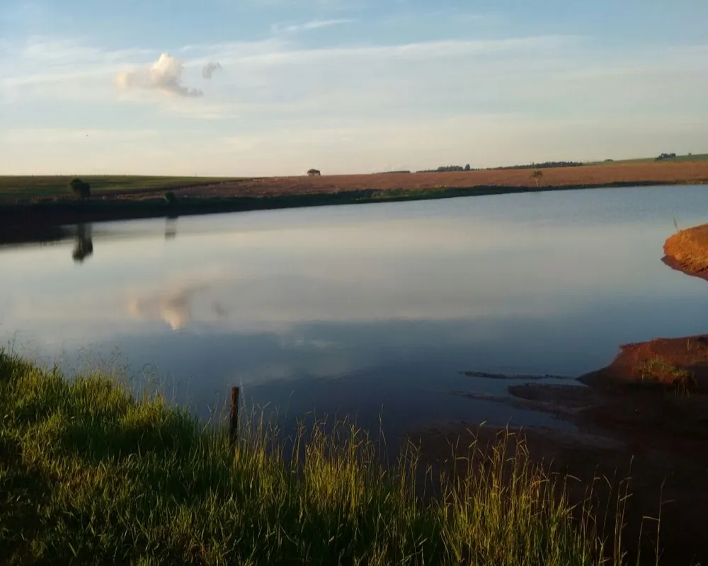 Fazenda - Foto 8