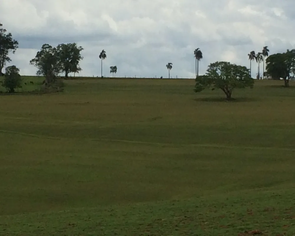 Fazenda - Foto 6