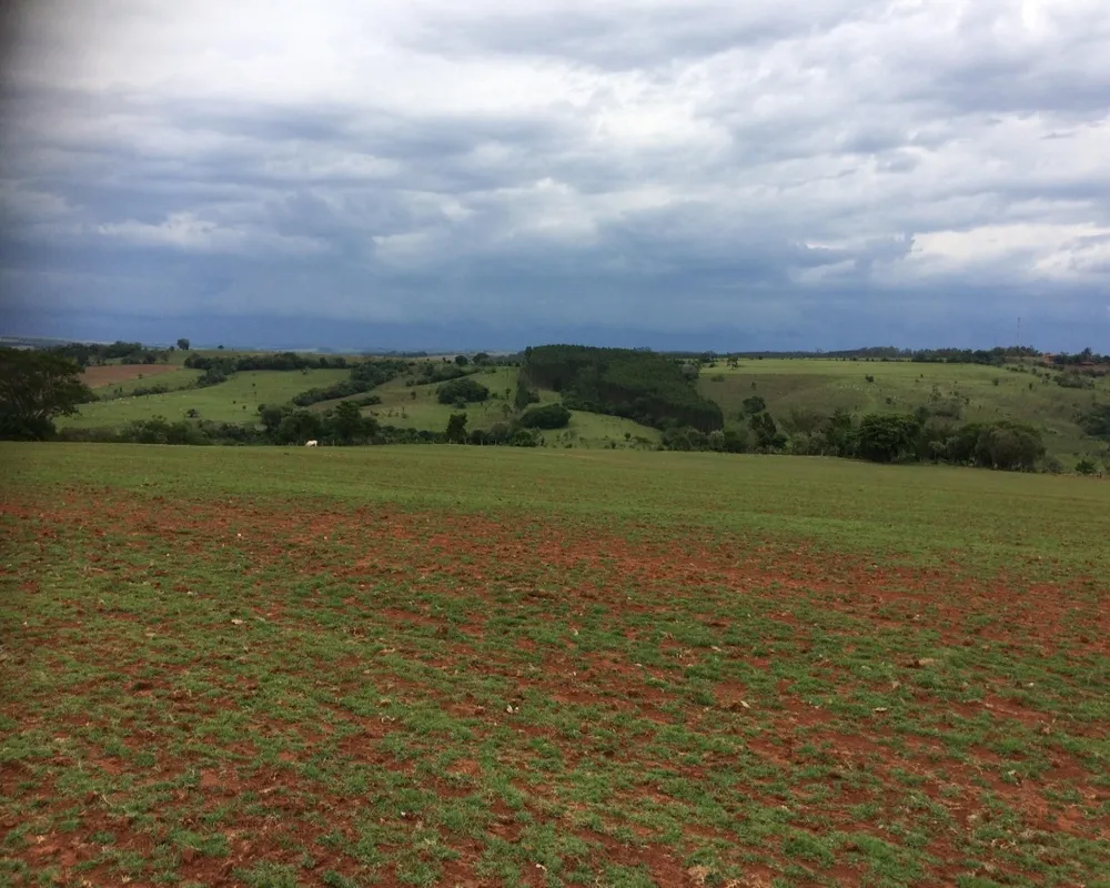 Fazenda - Foto 5