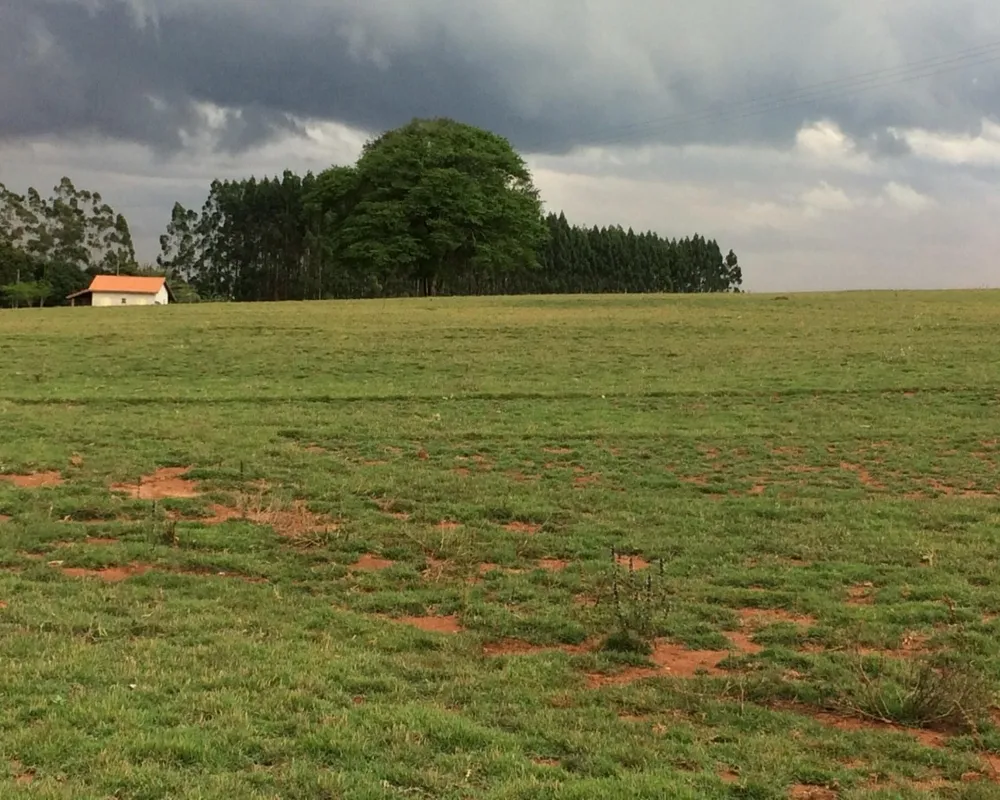 Fazenda - Foto 8