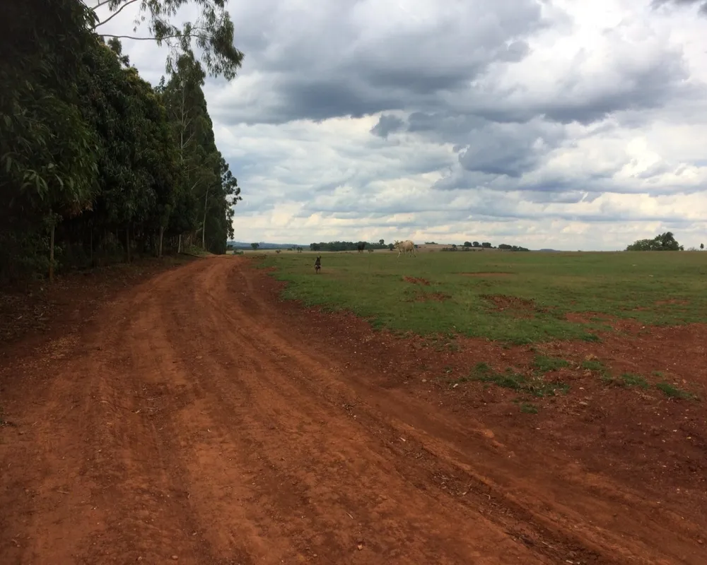 Fazenda - Foto 4