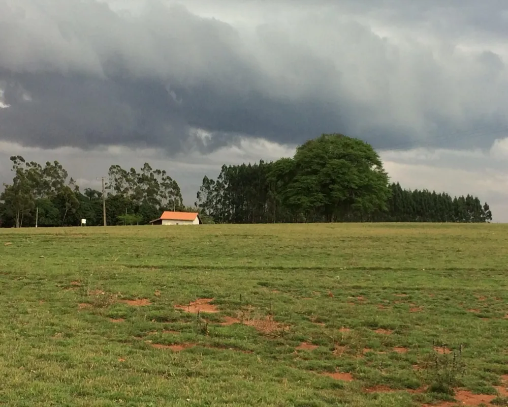 Fazenda - Foto 7