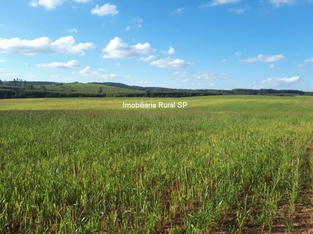 Fazenda - Foto 5