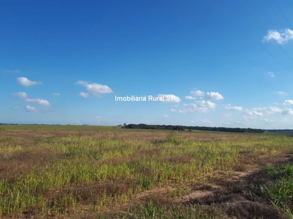 Fazenda - Foto 7
