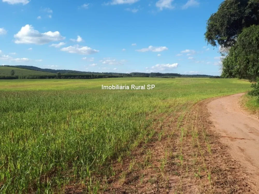 Fazenda - Foto 1
