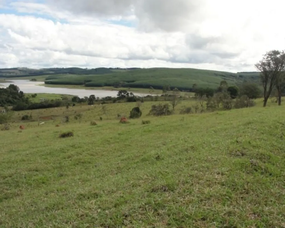 Fazenda - Foto 1
