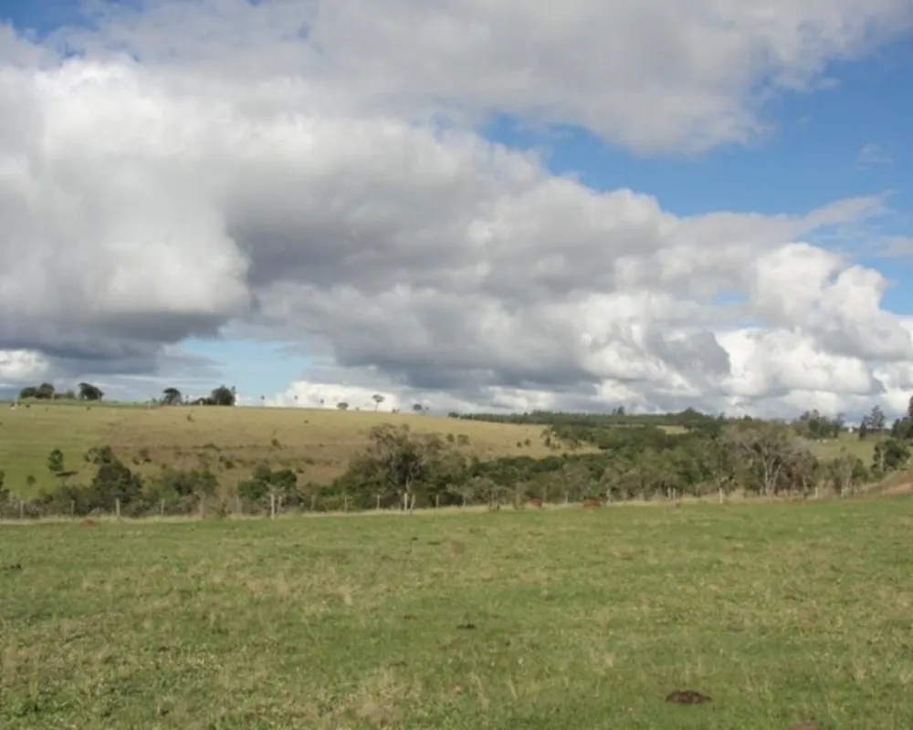 Fazenda - Foto 6