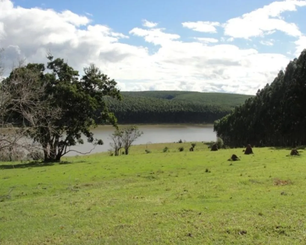 Fazenda - Foto 2