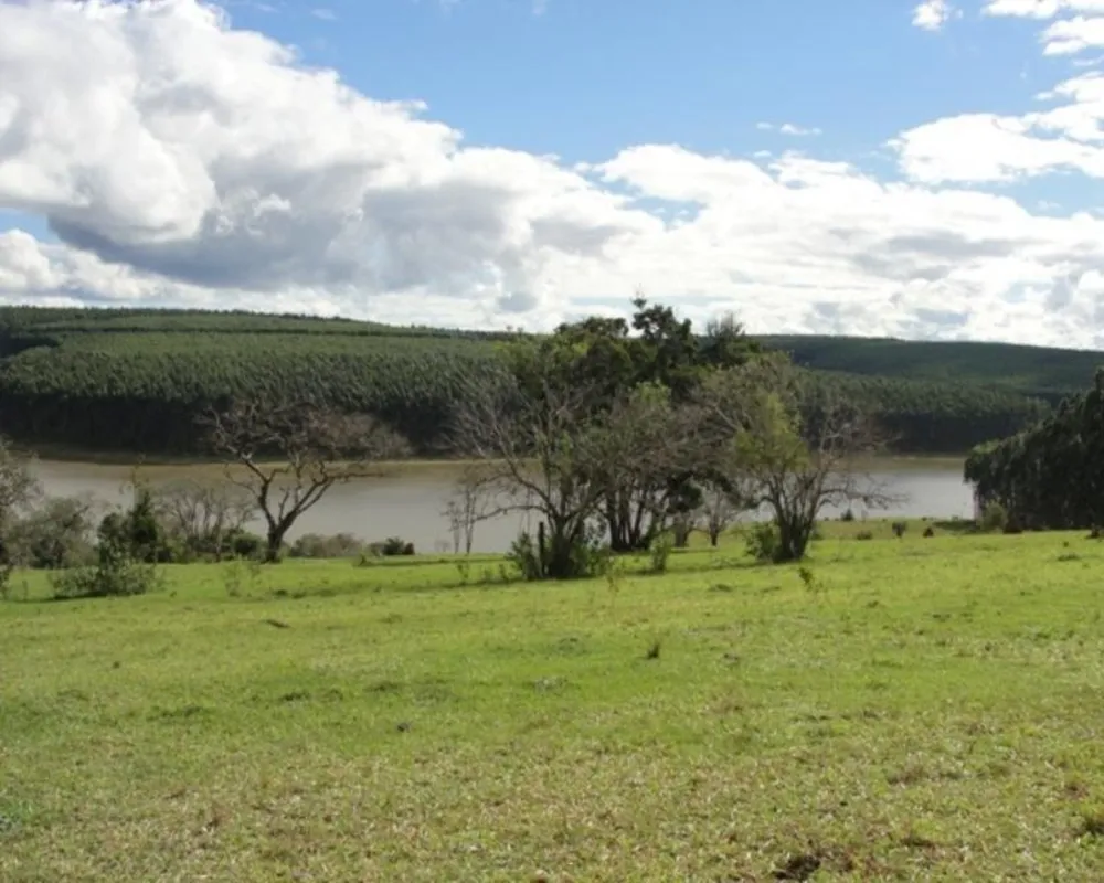 Fazenda - Foto 3