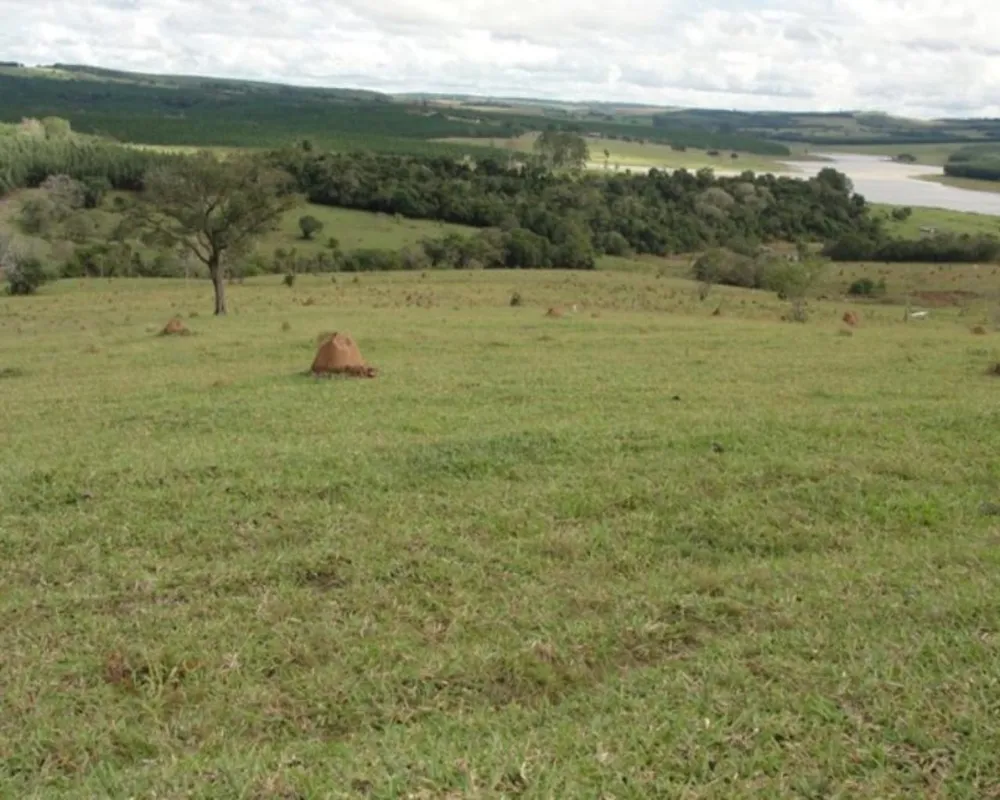 Fazenda - Foto 5