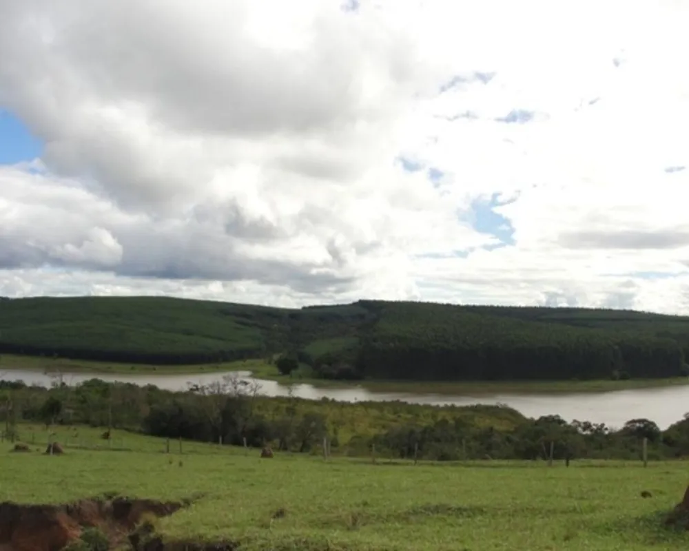 Fazenda - Foto 4