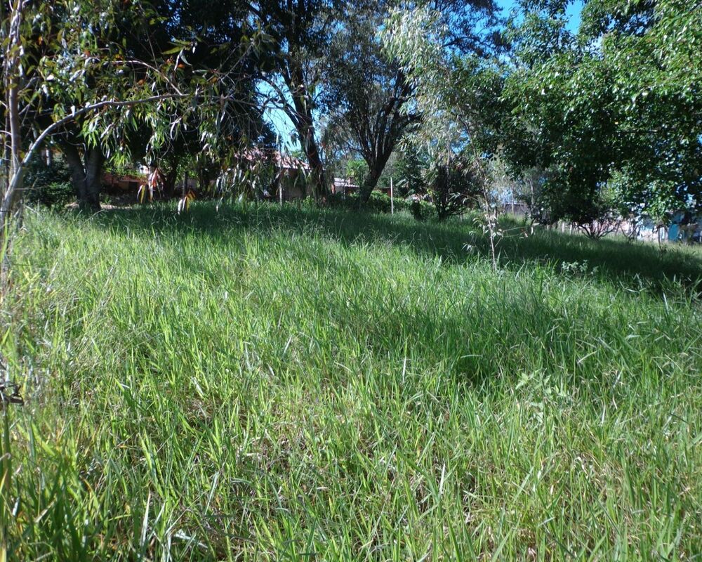 Terreno, 1000 m² - Foto 1