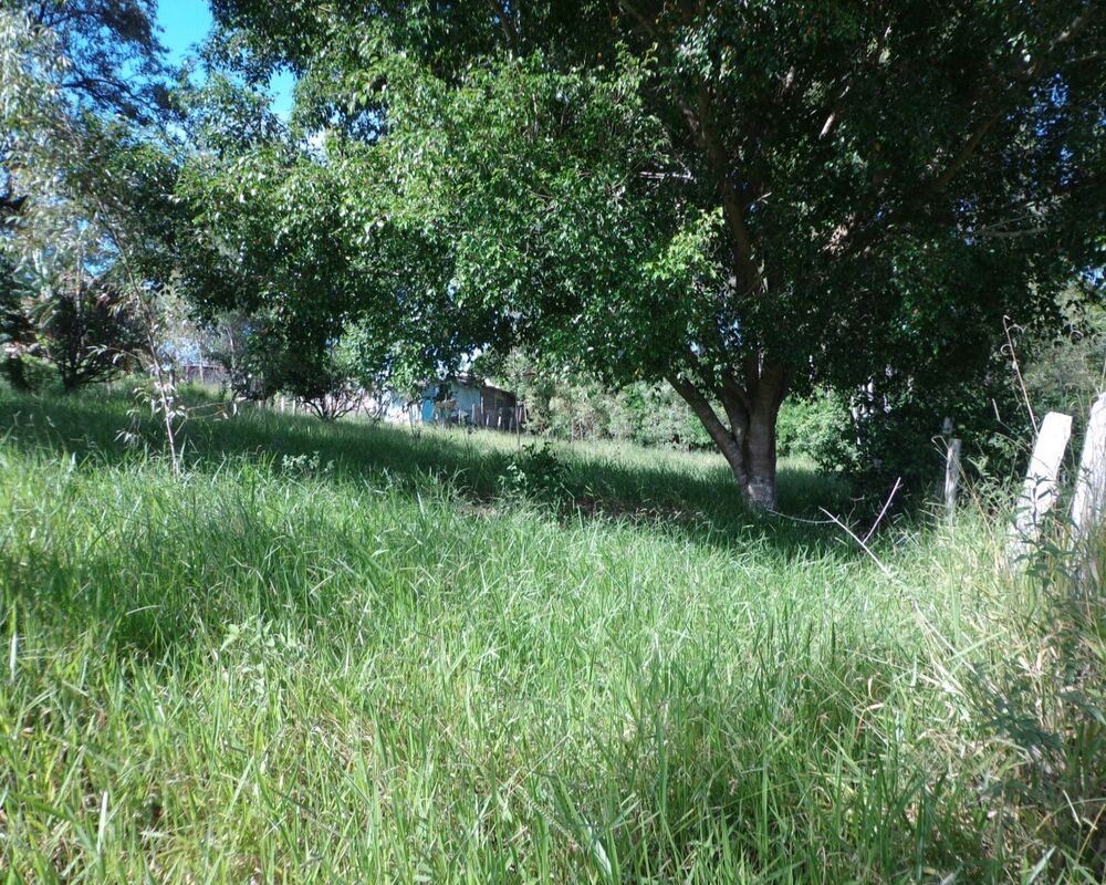 Terreno, 1000 m² - Foto 3