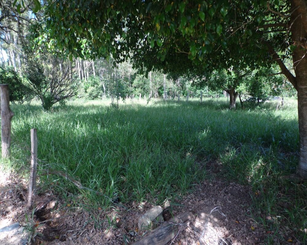 Terreno, 1000 m² - Foto 2