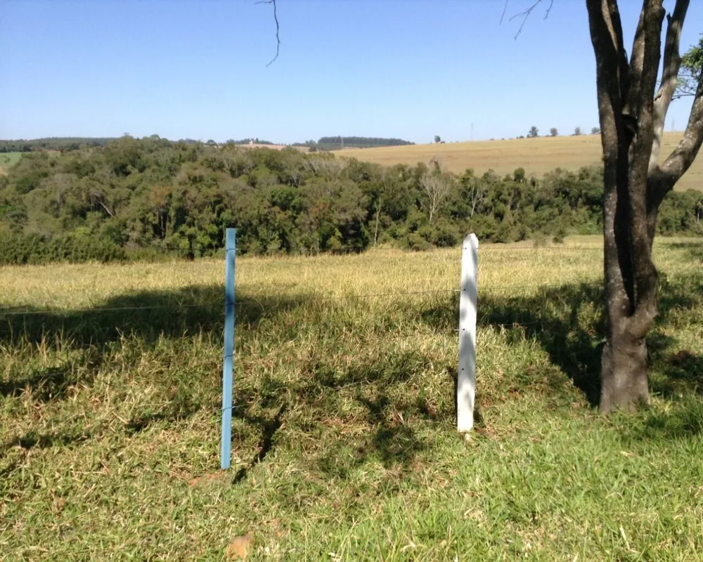 Fazenda - Foto 3