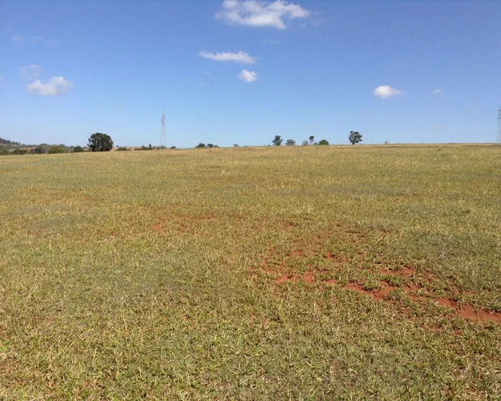 Fazenda - Foto 2