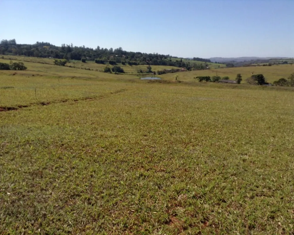Fazenda - Foto 5